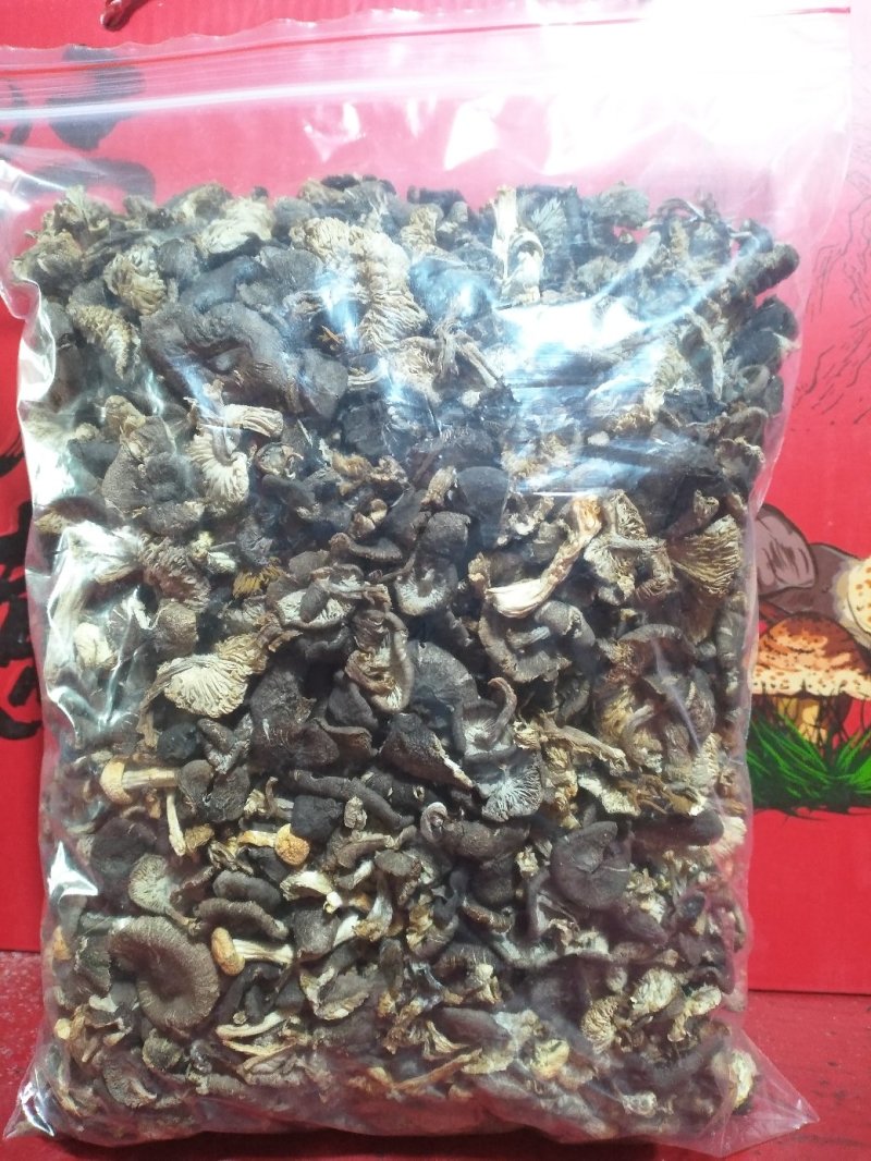 食用菌