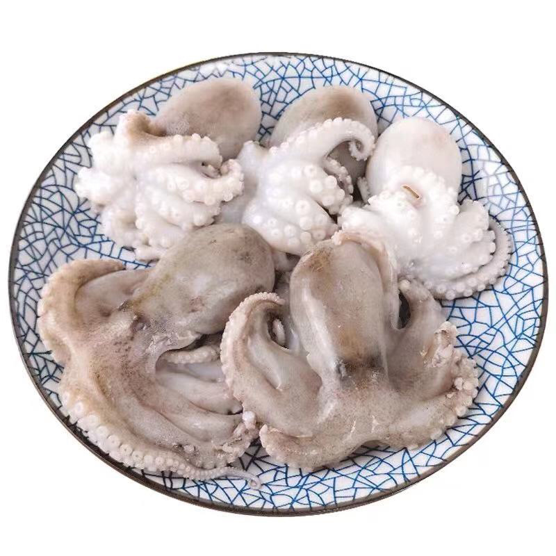 八爪鱼新鲜冷冻小章鱼网红爆头小鱿鱼自热火锅麻辣海鲜