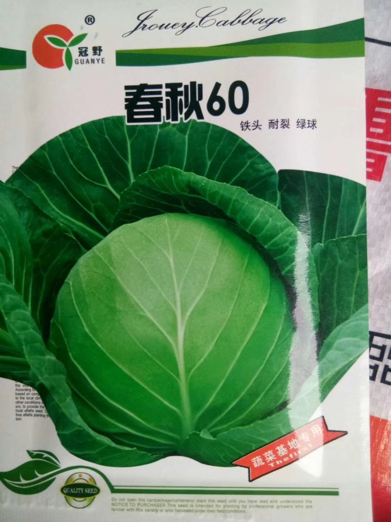 国内首创越冬甘兰冬春2号韩绿甘蓝甘蓝种子
