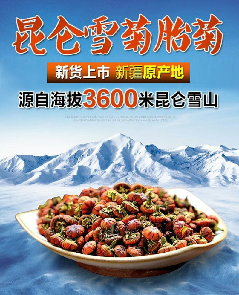 雪菊新疆野生昆仑雪菊胎菊高海拔家乡的味道包邮