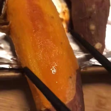 烟薯25