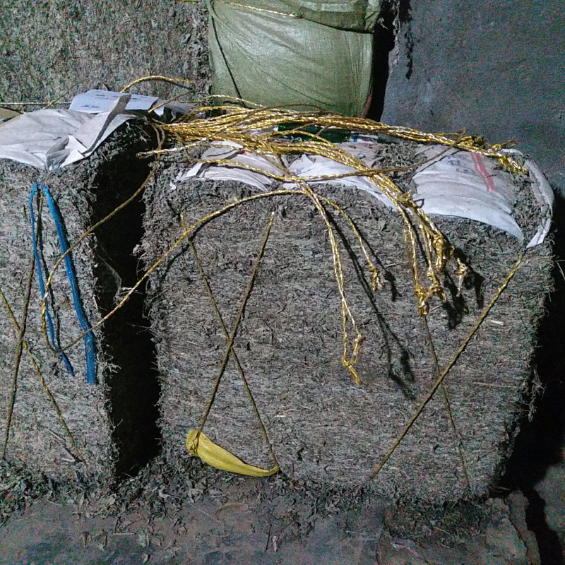 艾叶统