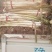 精品章丘大葱长白大葱供应，产地直发诚信经营共同发财