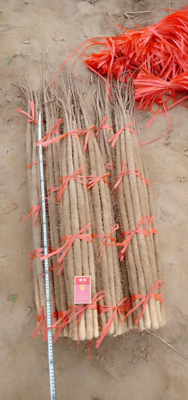 精品铁棍山药，支持打包装箱，全国物流发货