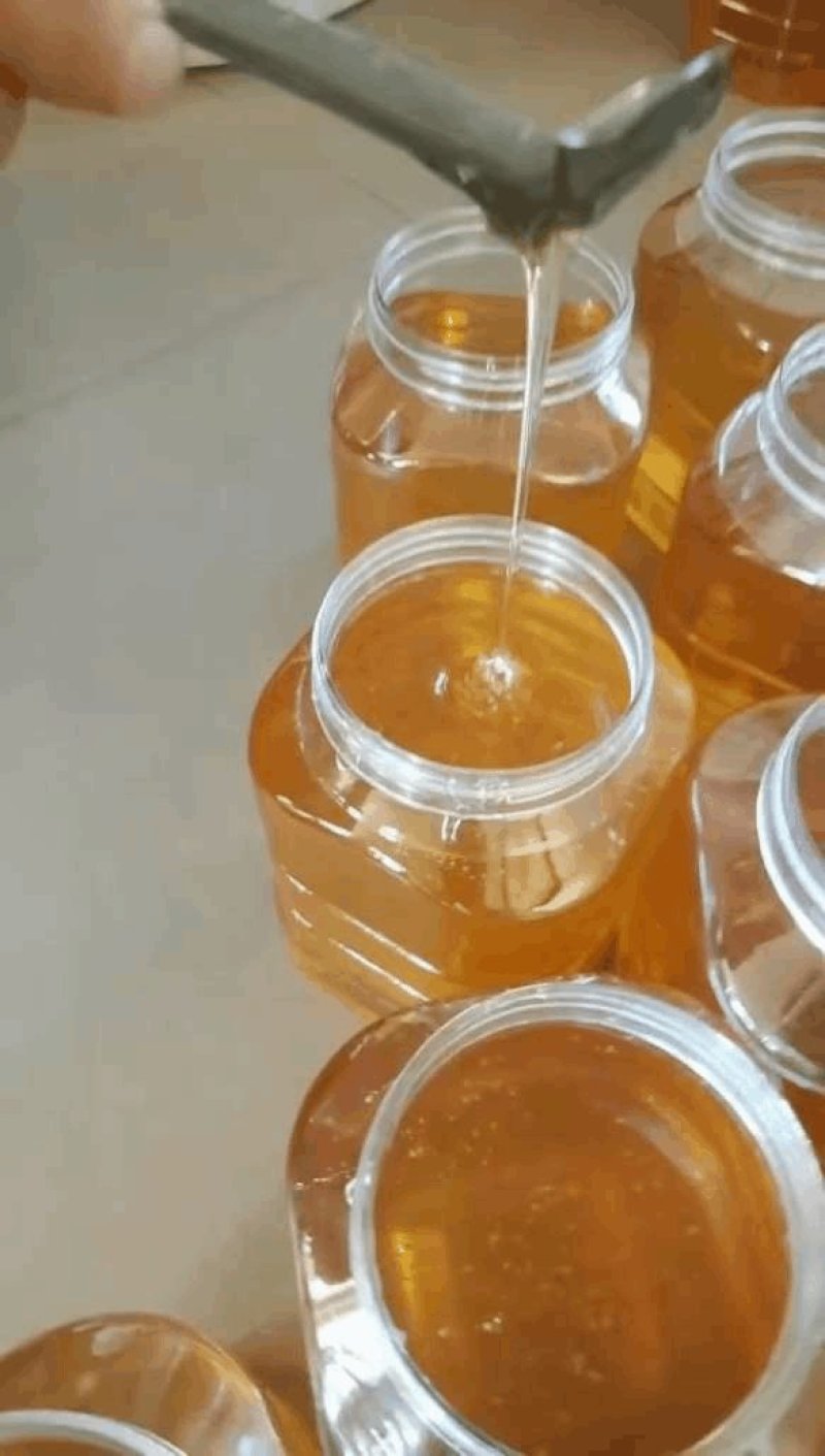 东北野树林深山蜂农**椴树蜜