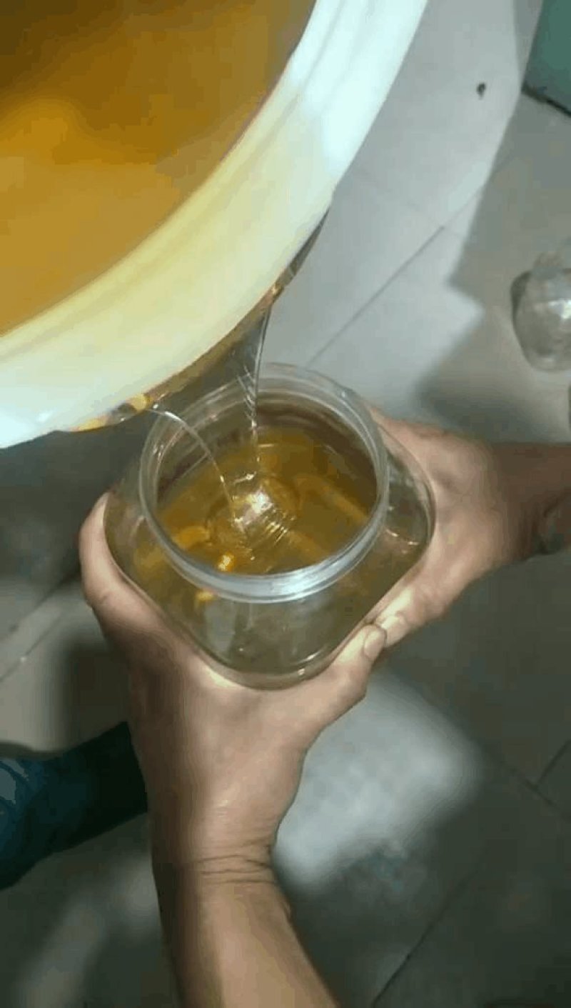 东北野树林深山蜂农**椴树蜜