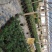 金边瑞香自家苗场福建一手货源品种纯正视频拍照看货全国发货