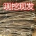 俄罗斯八号布鲁克斯基地直发成活率高真品种真大樱桃高产量