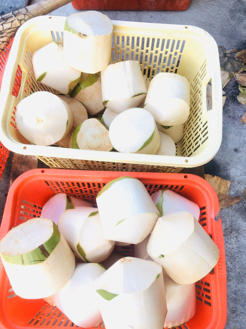 海南文昌椰子去皮椰青孕妇适用一件代发送开椰器