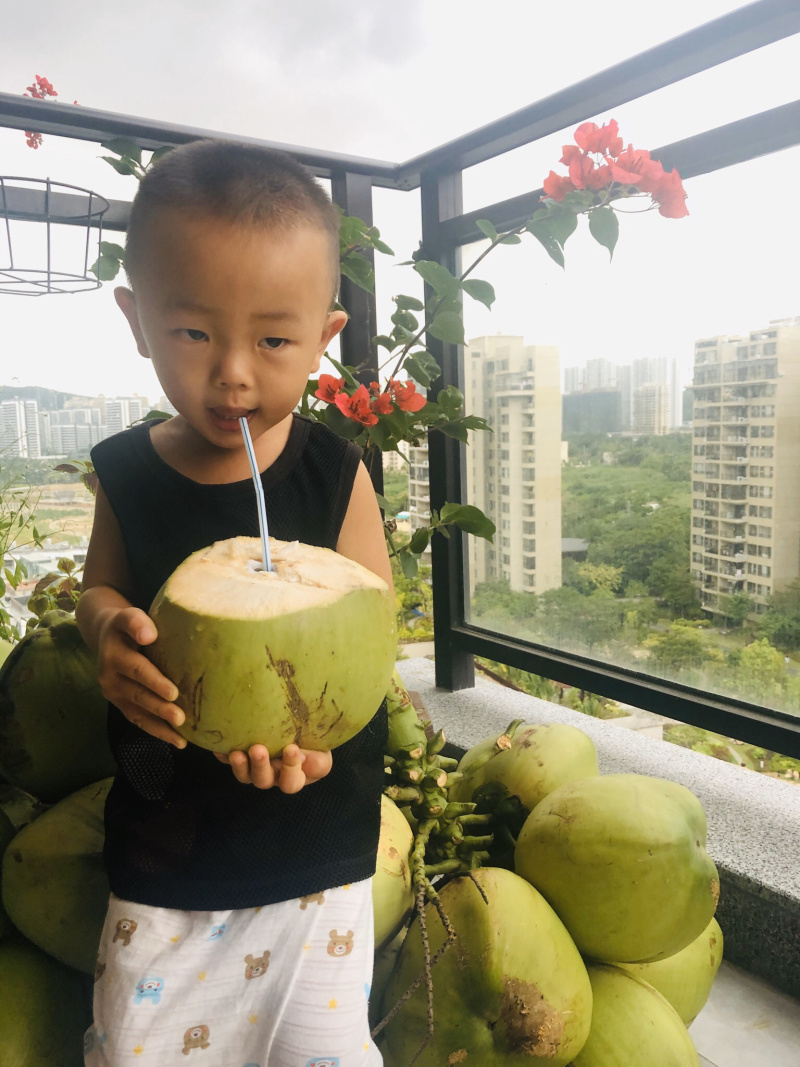 海南文昌椰子去皮椰青孕妇适用一件代发送开椰器