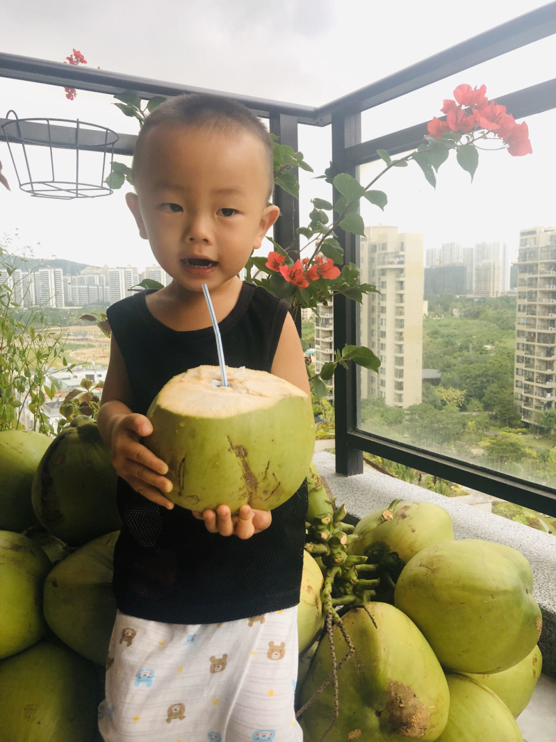海南文昌椰子去皮椰青孕妇适用一件代发送开椰器