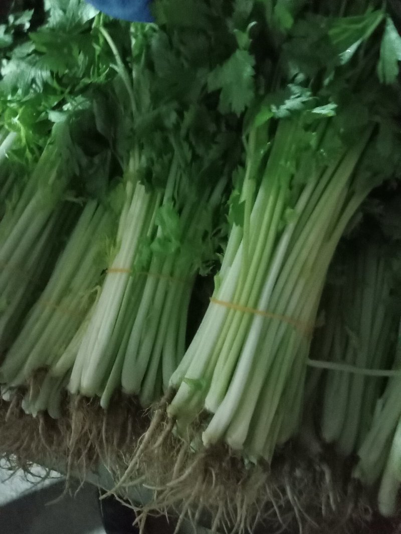 捌捌陆种植合作社