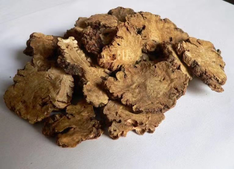 精品无琉川芎中药材产地直销大量供货