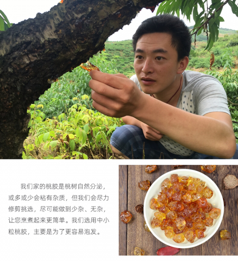 胶美丽桃胶皂角米雪燕组合可搭配银耳煮