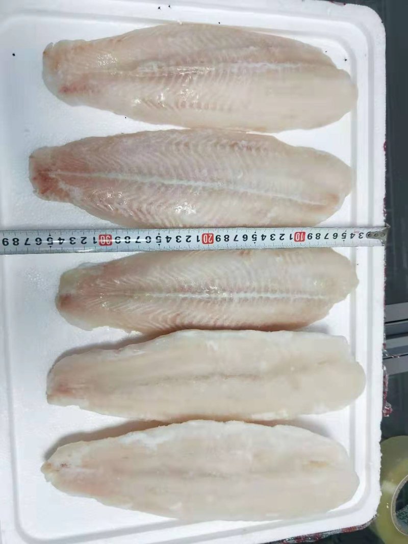 巴沙鱼
