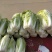 小义和秋白菜