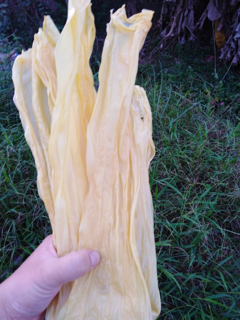 要火了！桂平特产扁竹，纯黄豆纯手工，批发散卖，量大返点多