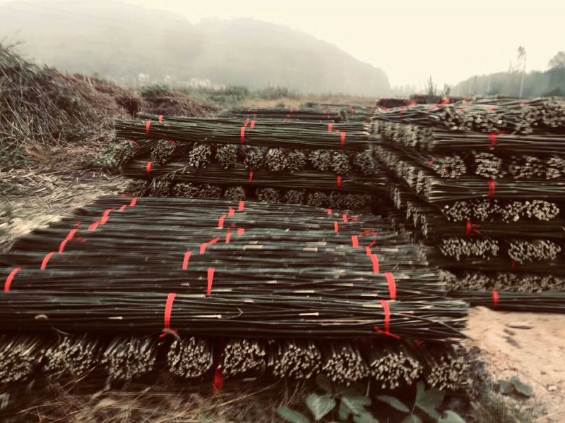 优质菜架竹竿基地直销