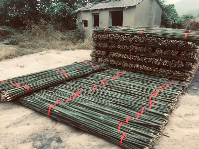优质菜架竹竿基地直销