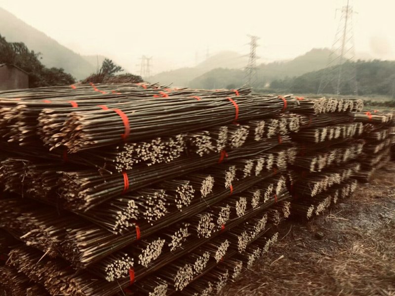 优质菜架竹竿基地直销