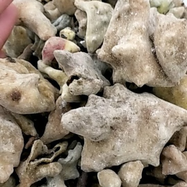 五倍子，批发各种规格中药材