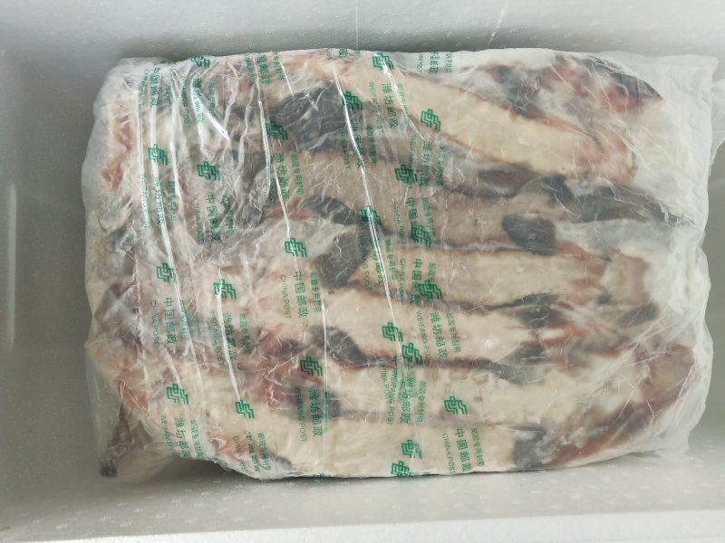 鲟鱼冻品各种规格都有，价格低，质量优，全国发货