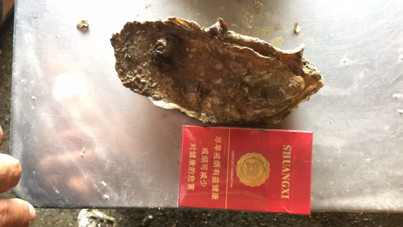 水产