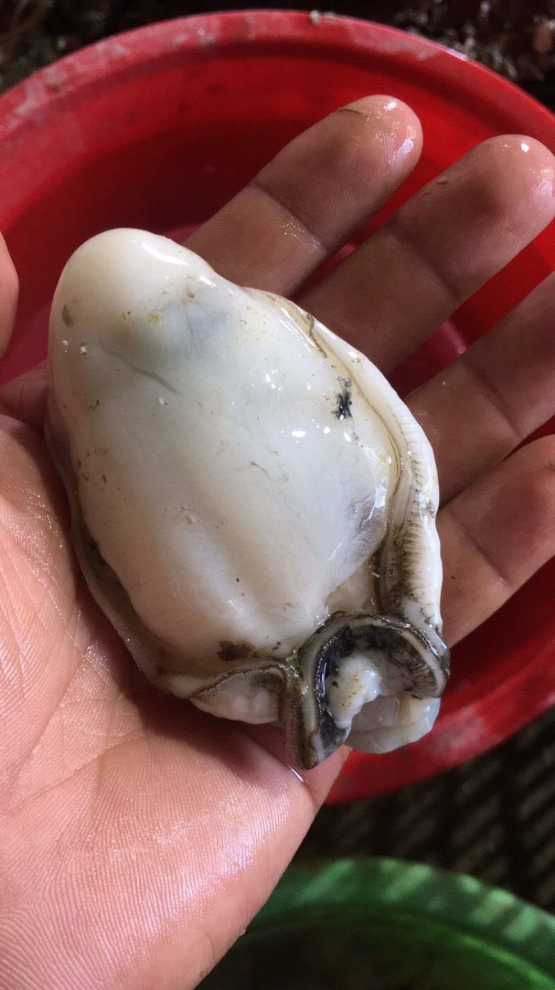 水产