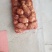 山东，芋头（种子），泰芋2号，豆包，香包8520品种齐全