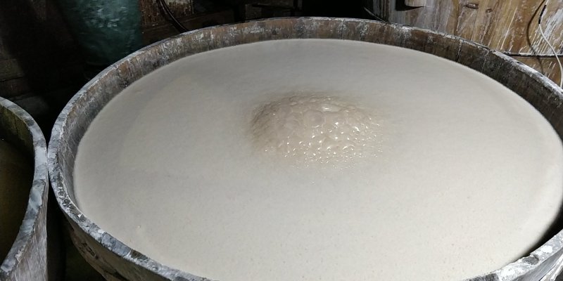 我们农村自己家种植的红薯，生产成的淀粉，欢迎全国老板来收