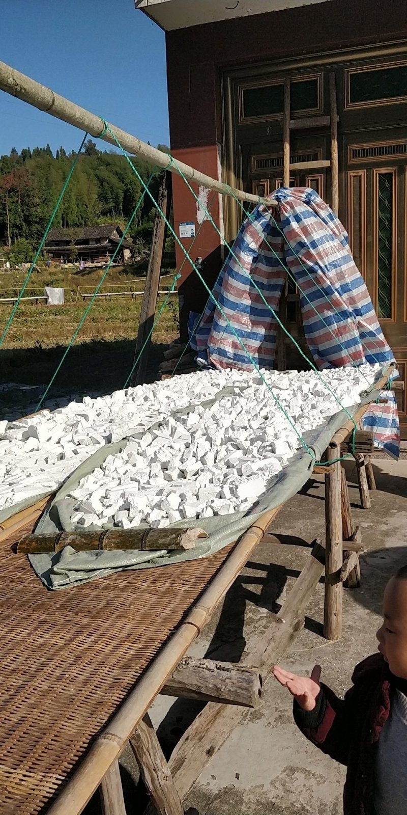 我们农村自己家种植的红薯，生产成的淀粉，欢迎全国老板来收