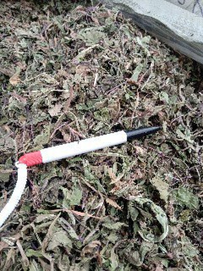 公英1公斤起批不包邮量大电议欢迎咨询各种中药材