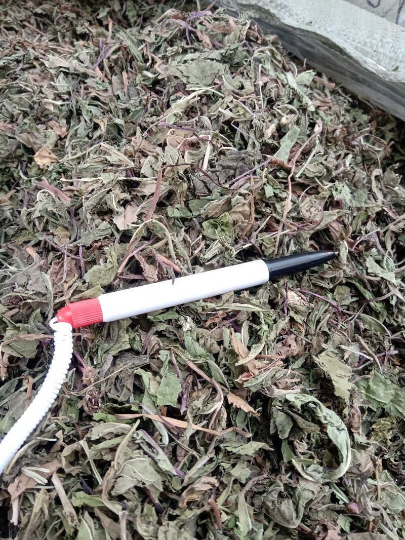 公英1公斤起批不包邮量大电议欢迎咨询各种中药材