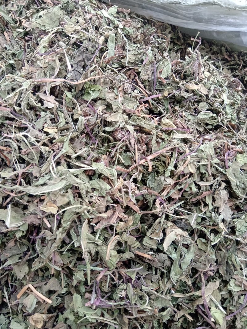公英1公斤起批不包邮量大电议欢迎咨询各种中药材