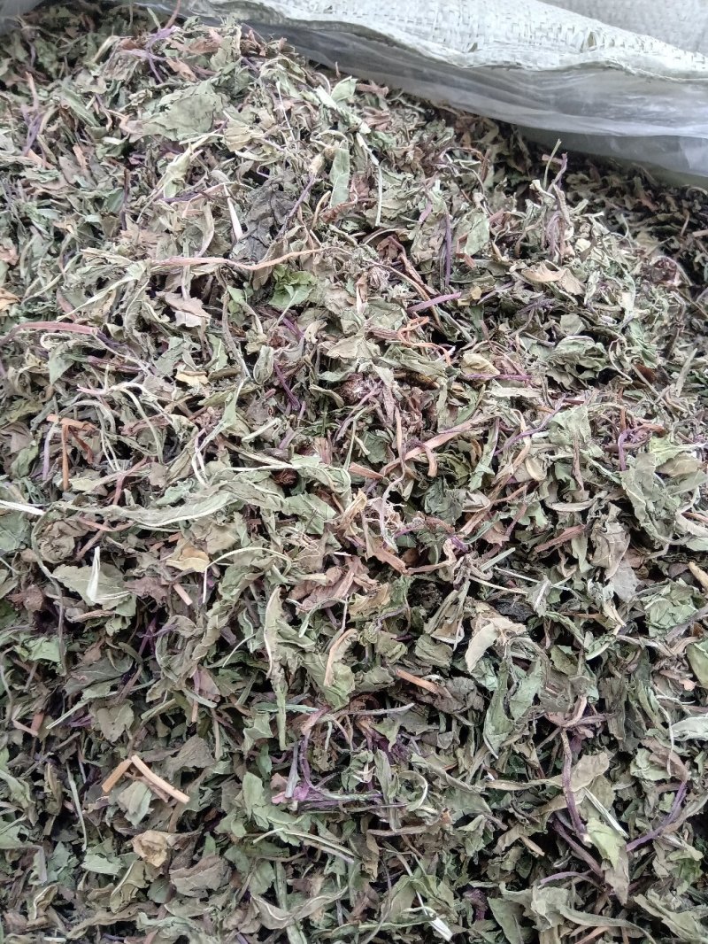 公英1公斤起批不包邮量大电议欢迎咨询各种中药材