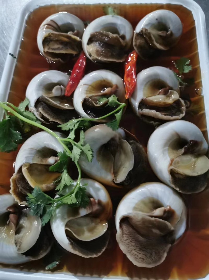 辽宁东港小船新鲜加工酱香螺