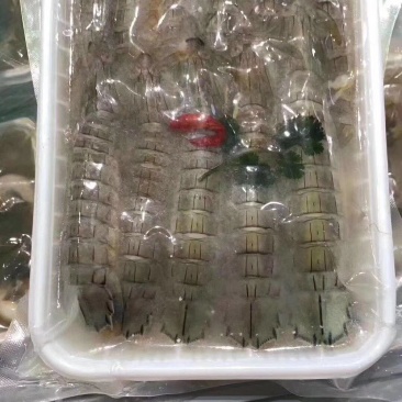 辽宁东港新鲜加工秘制盐皮皮虾