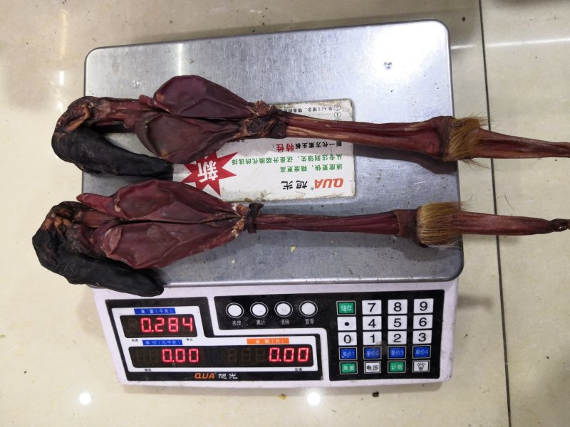 驴鞭新货大驴鞭鞭大鞭各种鞭长鞭