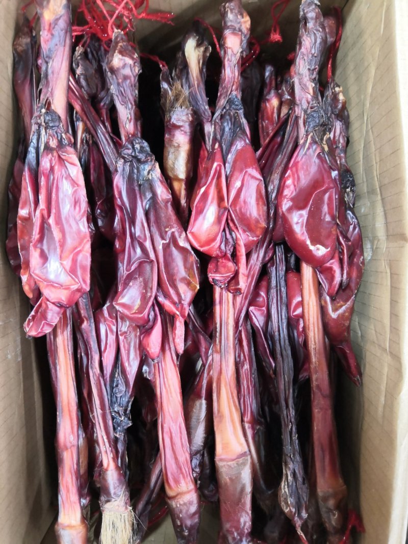 驴鞭新货大驴鞭鞭大鞭各种鞭长鞭