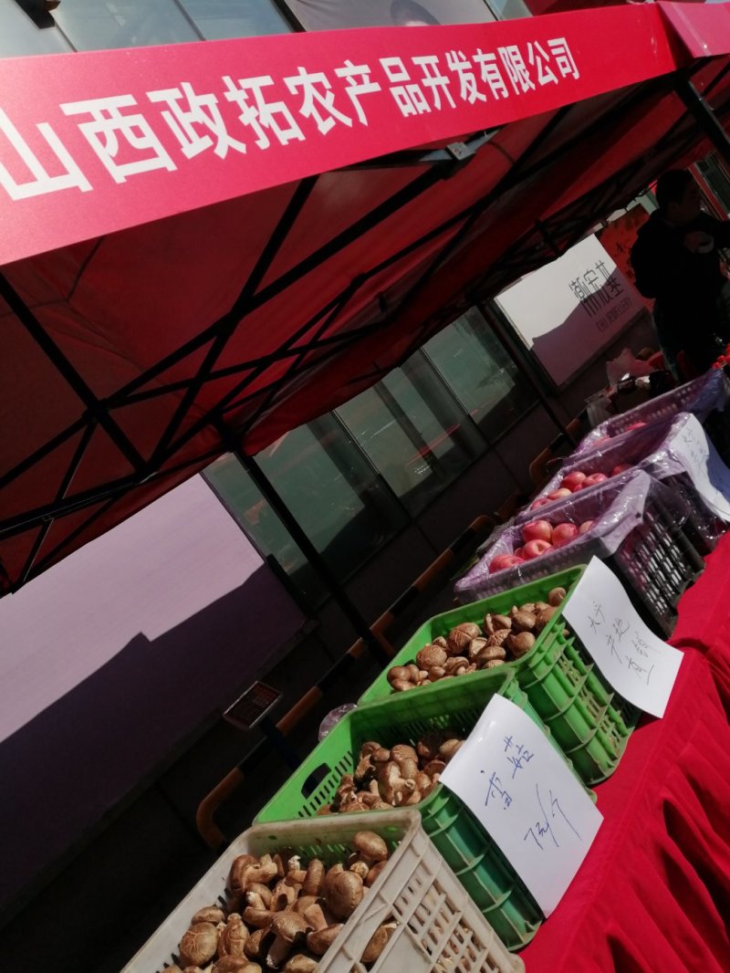 鲜香菇