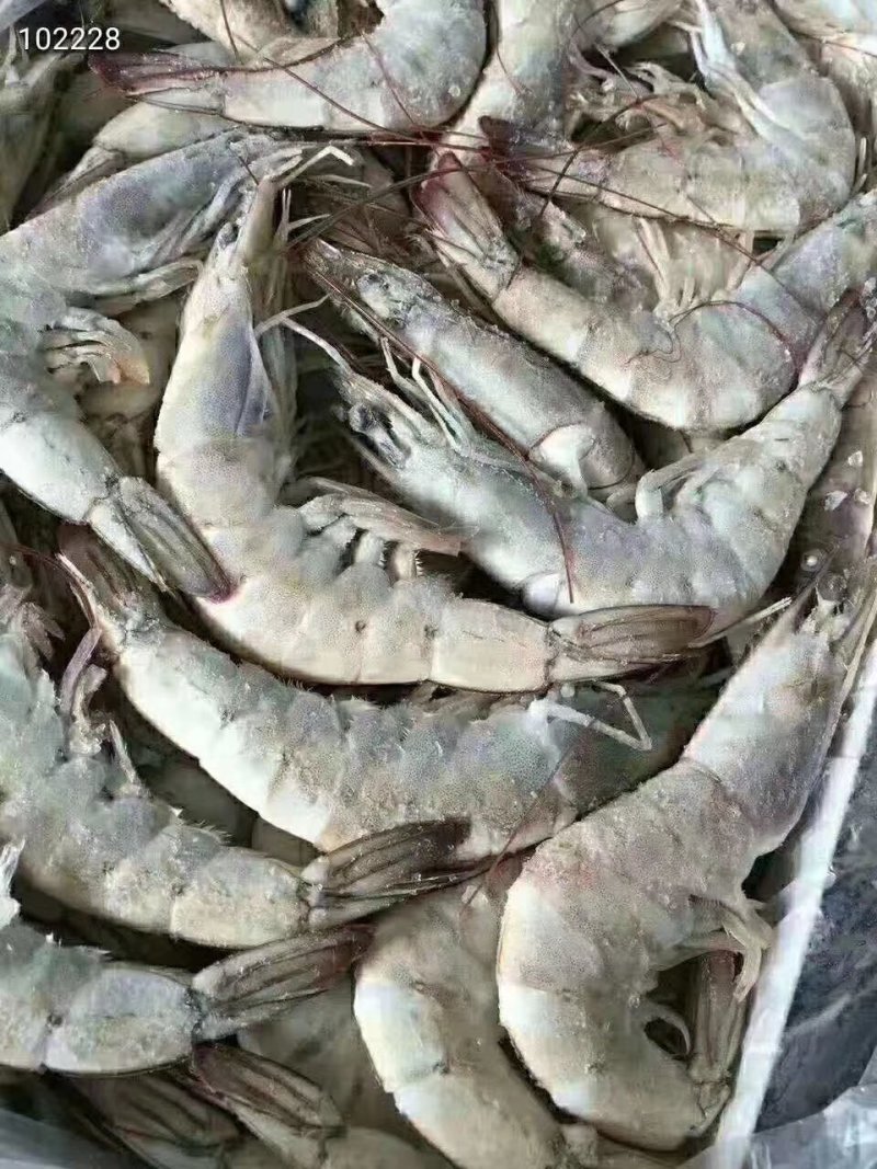 南美厄瓜多尔虾个头均匀，皮薄肉厚，多个规格