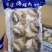 辽宁东港新鲜加工的原汁海螺肉