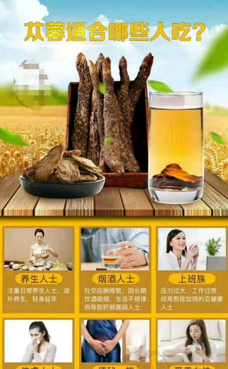 肉苁蓉阿拉善野生肉苁蓉500克软大云泡茶泡酒料