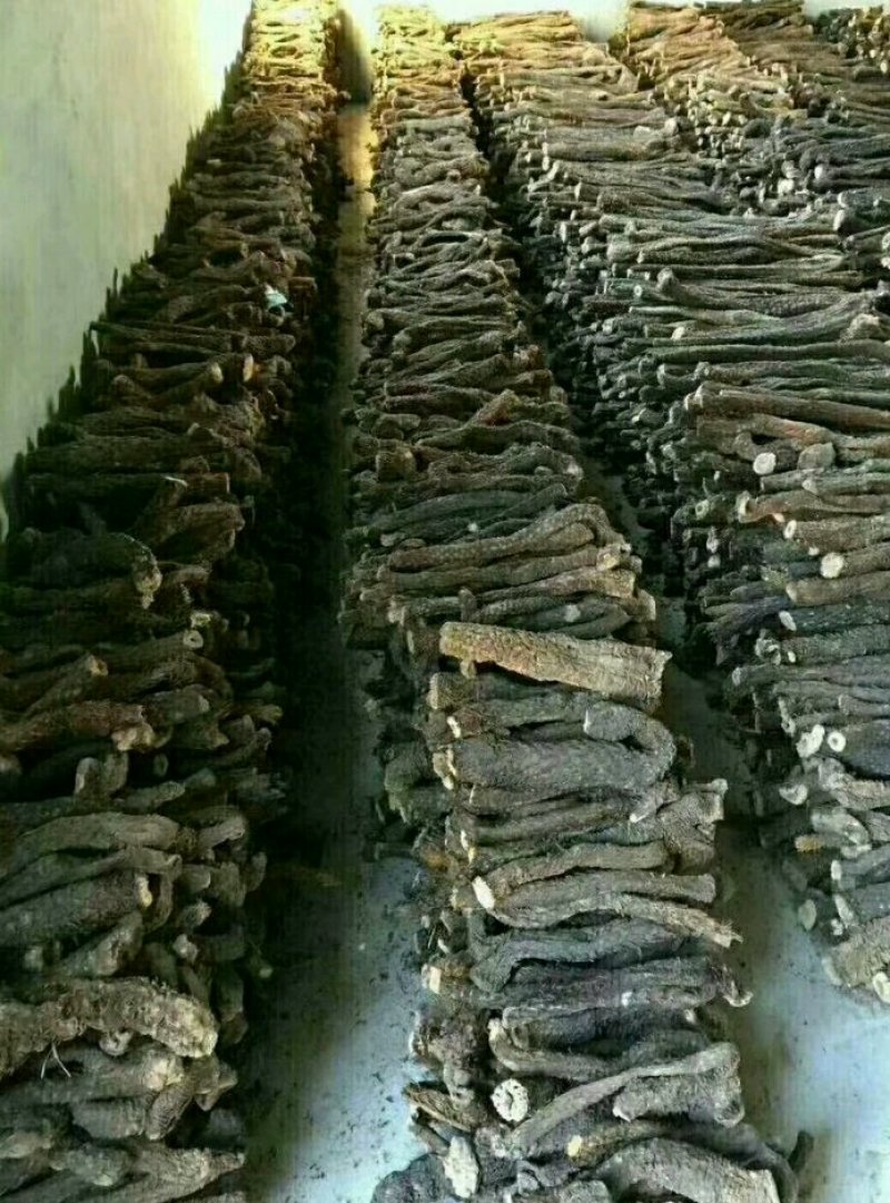 肉苁蓉阿拉善野生肉苁蓉500克软大云泡茶泡酒料