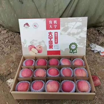 大宁红苹果