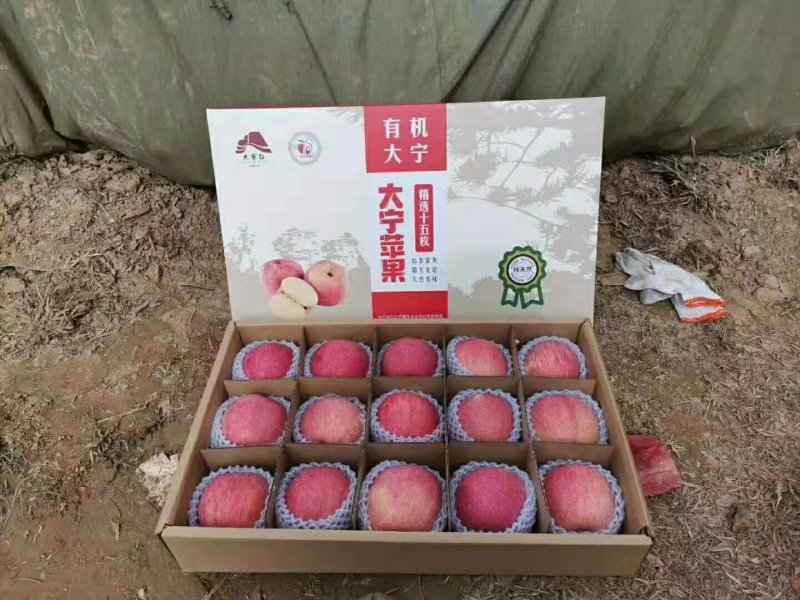 大宁红苹果