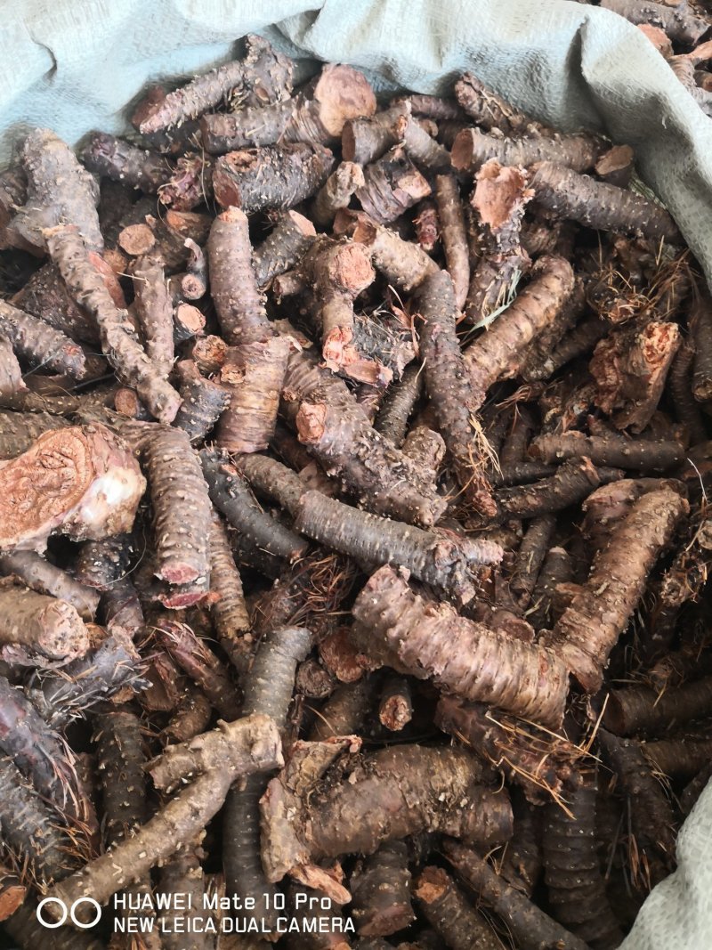 红景天西藏大花选货各种规格2斤起包邮