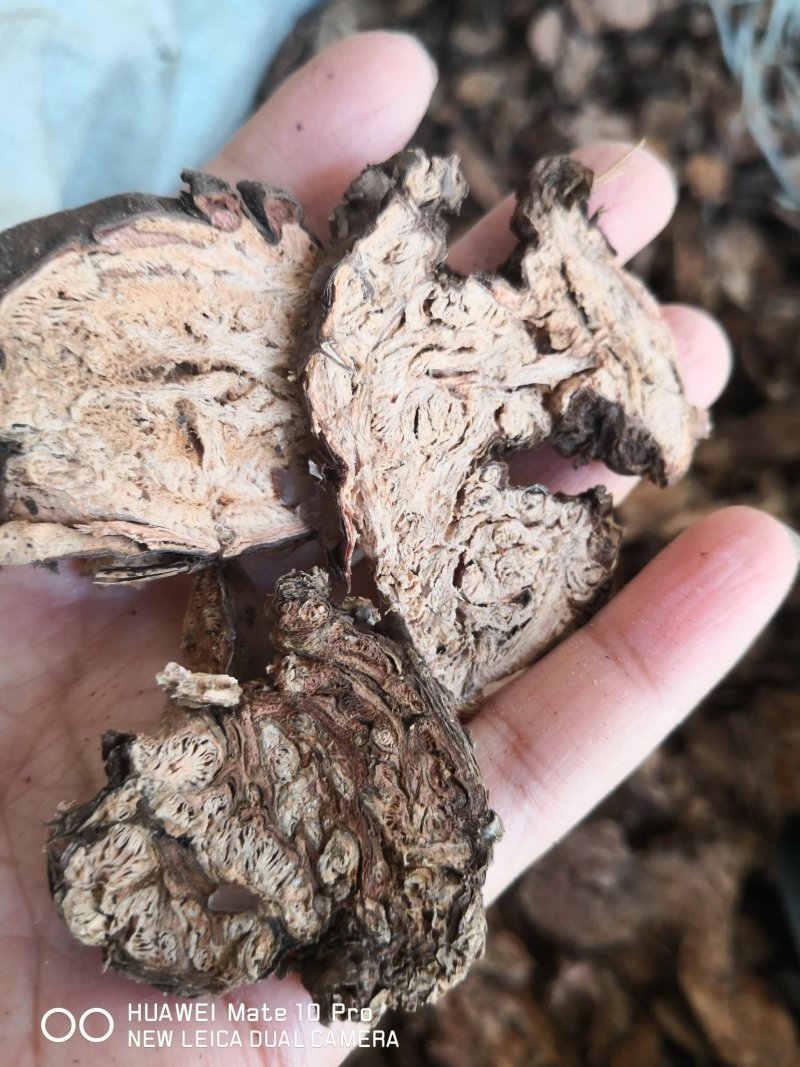 红景天西藏大花选货各种规格2斤起包邮