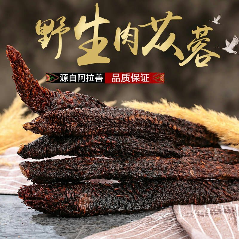 肉苁蓉阿拉善野生肉苁蓉500克软大云泡茶泡酒料