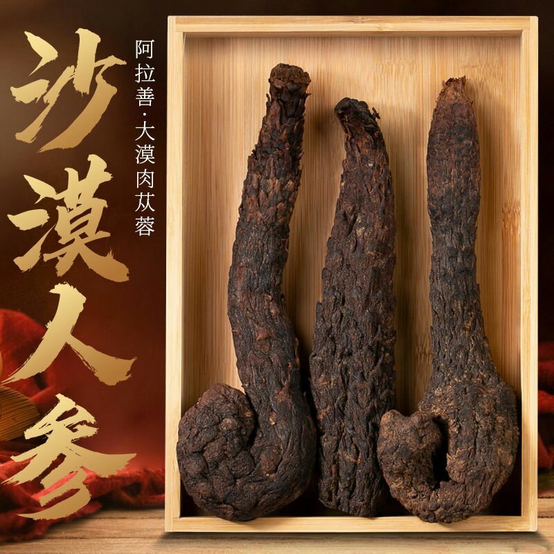 肉苁蓉阿拉善野生肉苁蓉500克软大云泡茶泡酒料